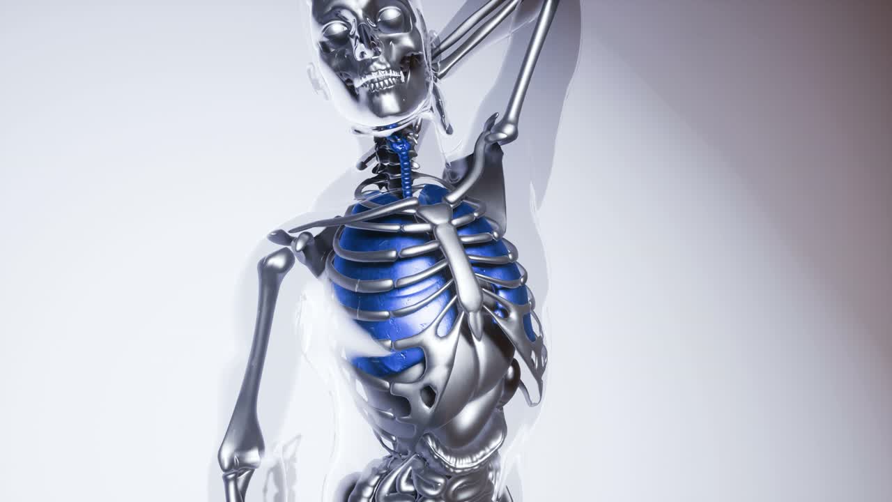 모든 장기와  ⁇ 를 포함한 인간 폐 모델