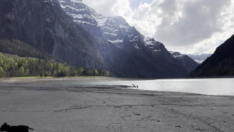 Hunde-Laufen-Vor-Dem-Ufer-Des-Klöntalersees,-Kanton-Glarus,-Schweiz