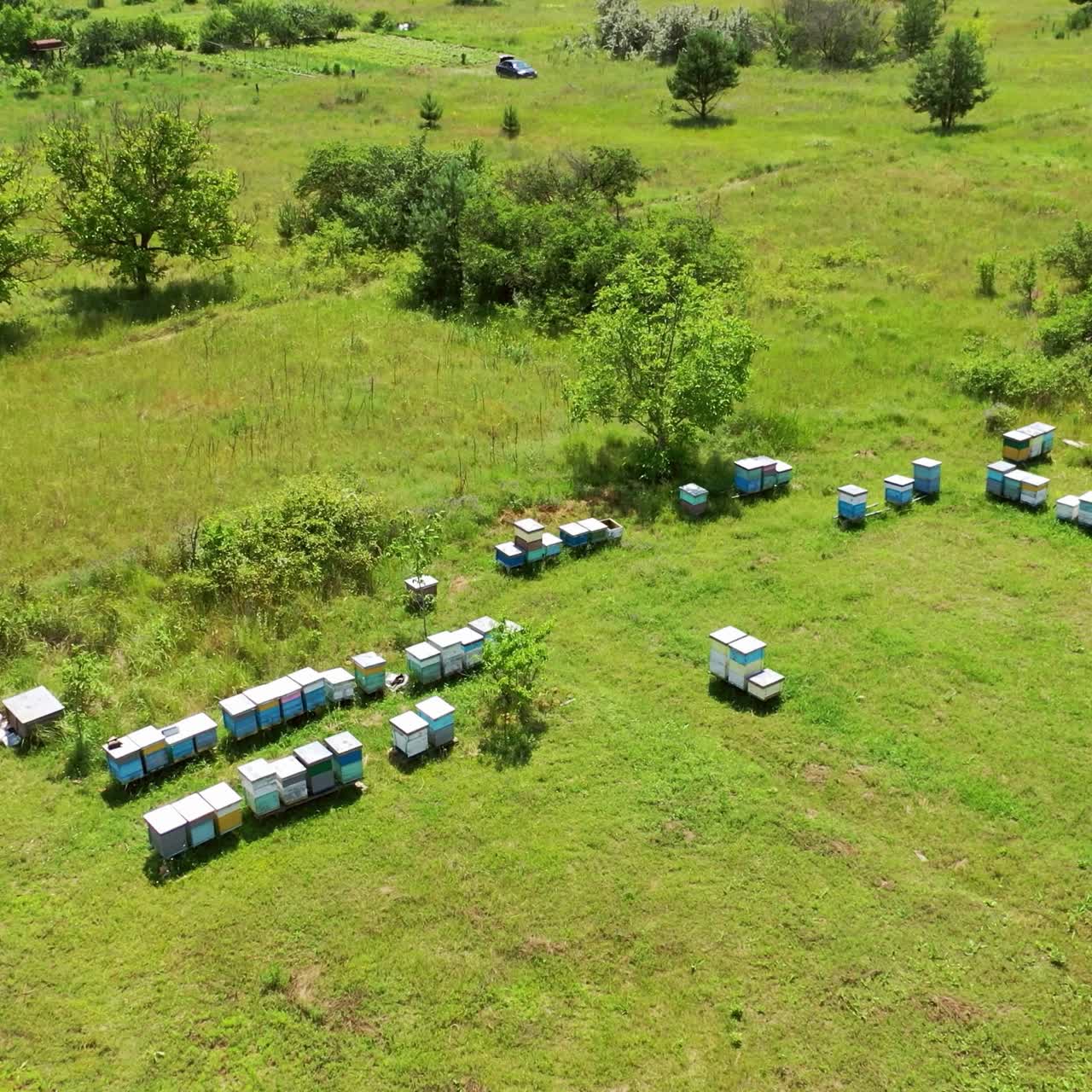 Aerial view of hives in apiary