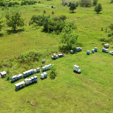 aerial view of hives in apiary