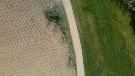 Vogelperspektive-Aus-Der-Luft,-Die-Nach-Der-Ernte-über-Die-Unbefestigte-Straße-In-Der-Landschaft,-Die-An-Das-Feld-Grenzt,-Fliegt