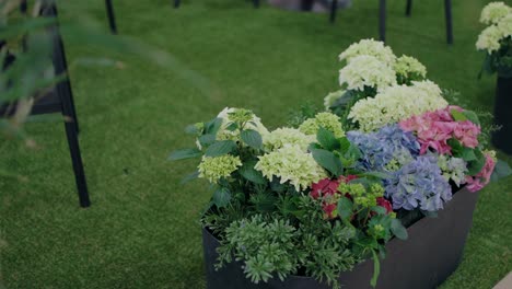 lush hydrangea blooms in a modern black vase against a soft artificial lawn