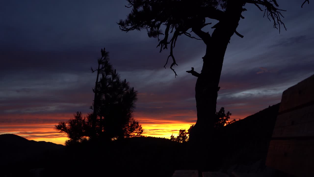 Sun setting in the background with mountain tree and bench in silhouette foreground