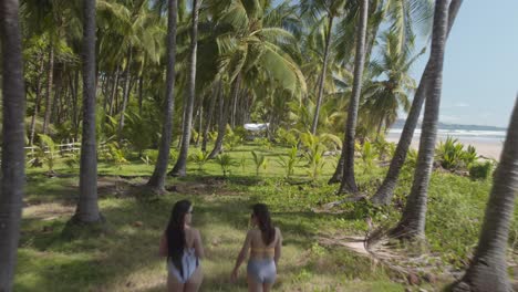 backward drone shot of two women in bikinis passing by coconut trees by the sea