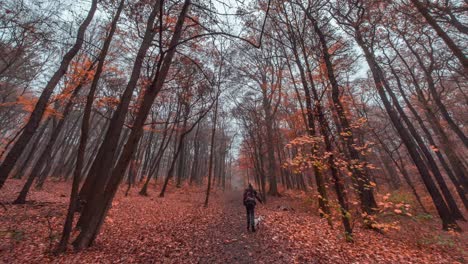 autumn in the hvezda park