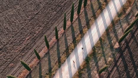 Aerial-of-girl-and-dog-playfully-running-on-road-between-Tuscany-cypress-trees