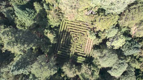 Drohnenaufnahme-Eines-Labyrinths,-Das-Im-Wald-Von-Mexico-City-Versteckt-Ist