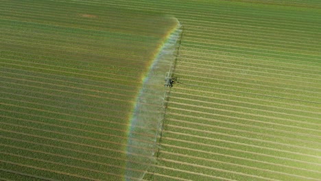 Rociando-Vapor-De-Agua-De-Los-Brazos-Largos-Del-Tractor-Creando-Un-Arco-Iris-En-El-Campo-De-Tulipanes