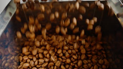 coffee beans pouring into container