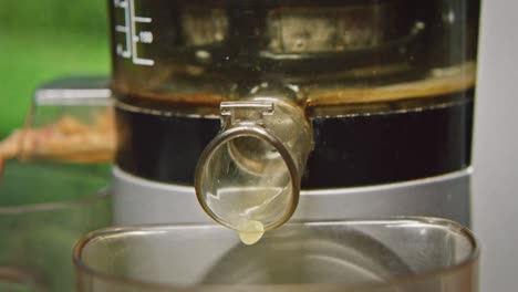 omega juicer making fresh and healthy cold pressed juice