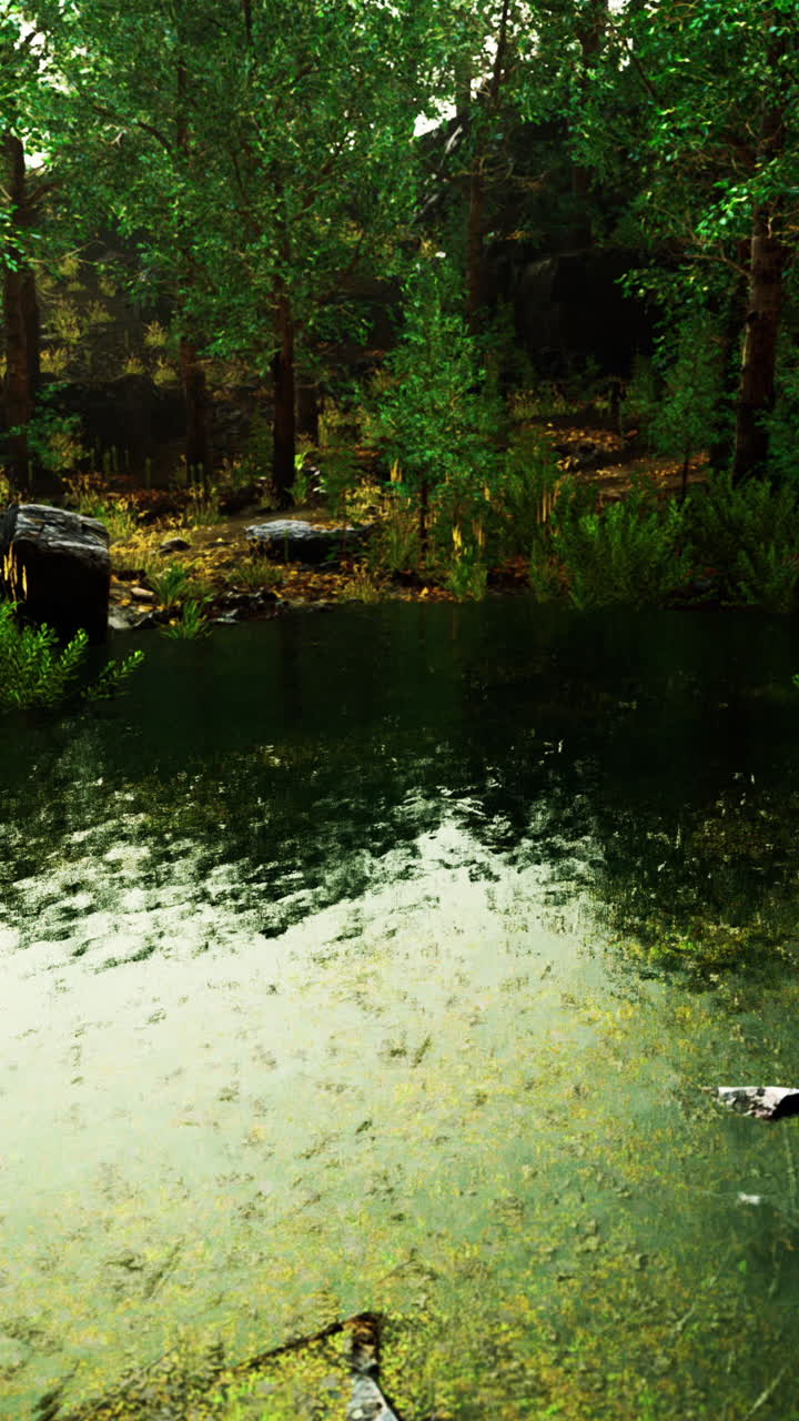 평화로운 숲의 연못