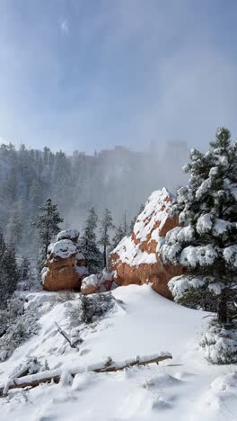 beautiful winter scenery stunning snowcovered trees stand next to magnificent red beautiful winter scenery stunning snowcovered trees stand next to magnificent red rocks