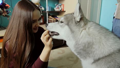 a young woman is extinguishing a dog with a delicacy.