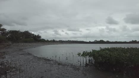 A-dynamic-panning-shot-of-a-muddy-shoreline-with-scattered-trash-and-growing-mangroves-near-a-local-residential-area-in-the-Philippines