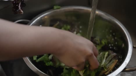 female chef placing lettuce leaves into metal colander with water pouring over