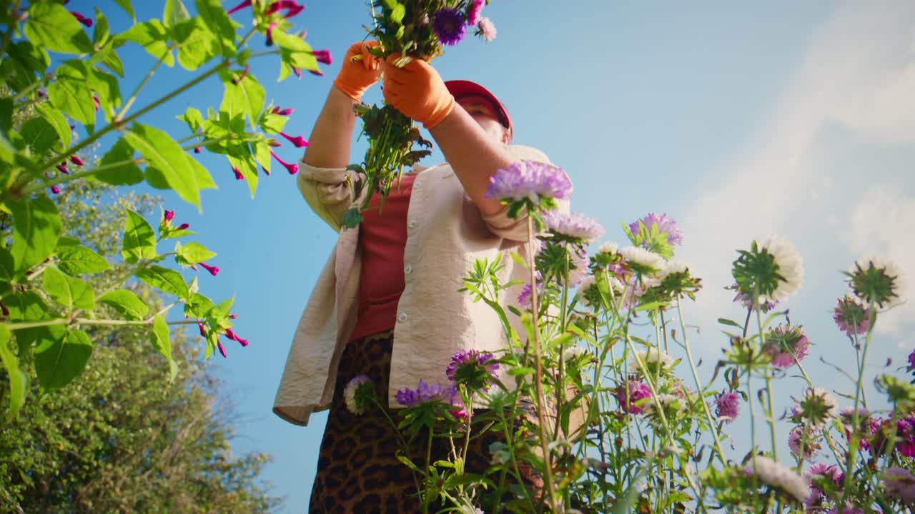 Um jardineiro coletando lindas flores em um jardim exuberante, repleto de flores coloridas sob um céu azul brilhante em um dia ensolarado no auge da estação de floração
