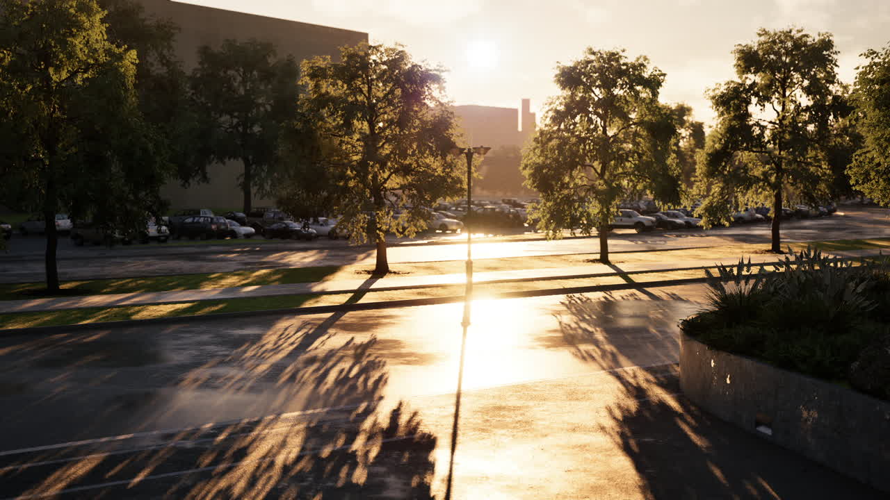 Reflejos del atardecer en una calle mojada con árboles en un entorno urbano