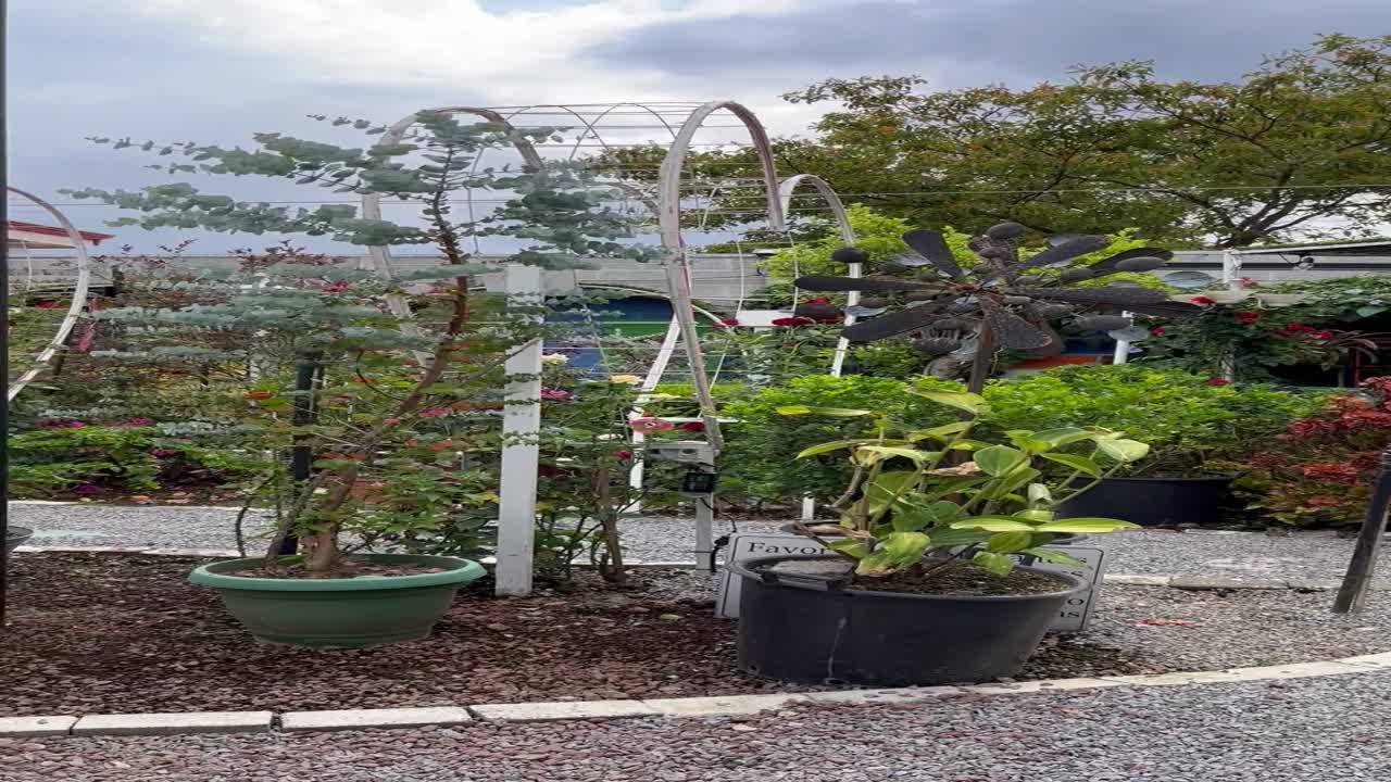 코스타리카의 아름다운 정원