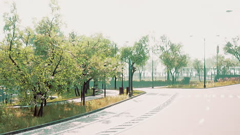 View-of-empty-road-with-lamp-post-and-sunlight