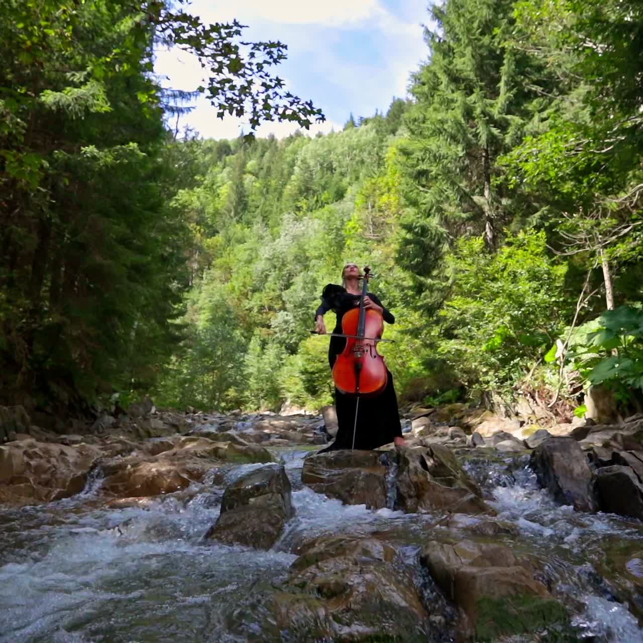 Beautiful girl plays the cello on nature landscape. Green trees and mountain river background