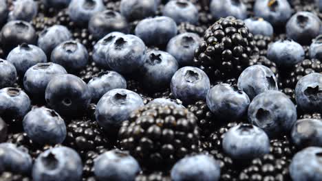 ripe raw berries of blackberry and bog whortleberry, background