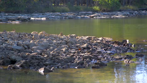 Rocks-piled-up-on-a-shoreline