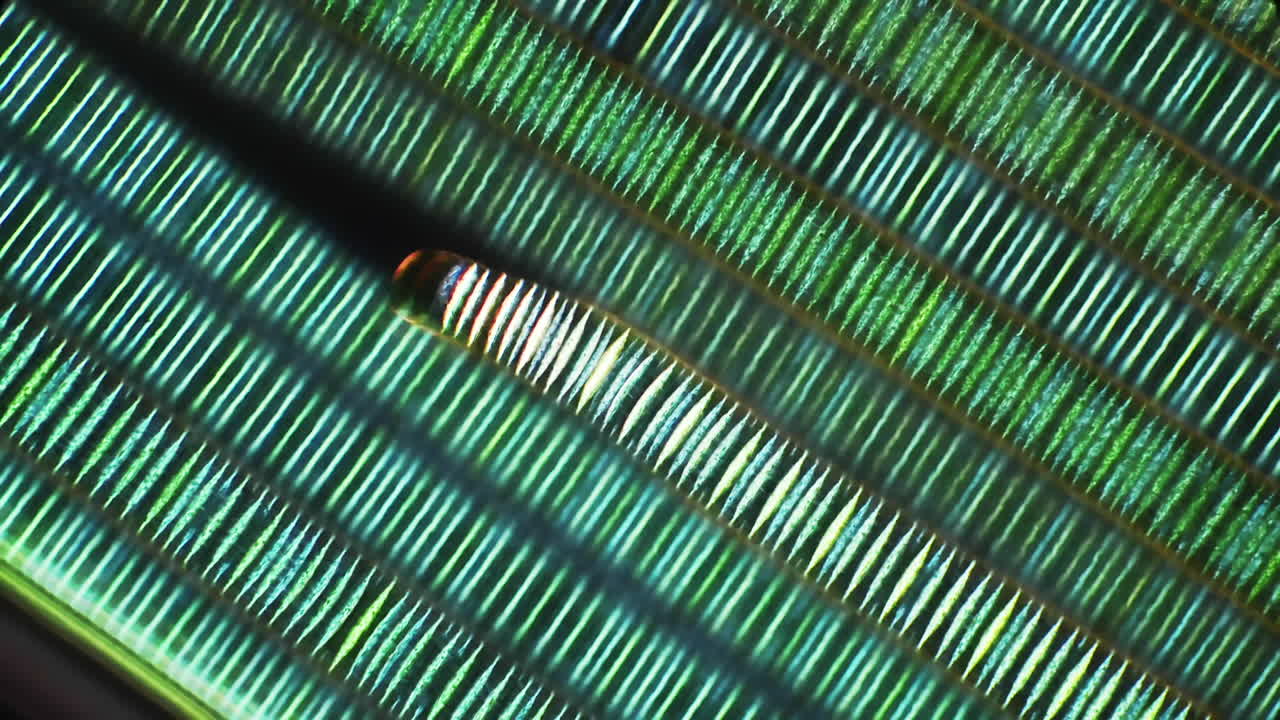 Abstract Green Pattern with Parallel Lines and Bright Detail