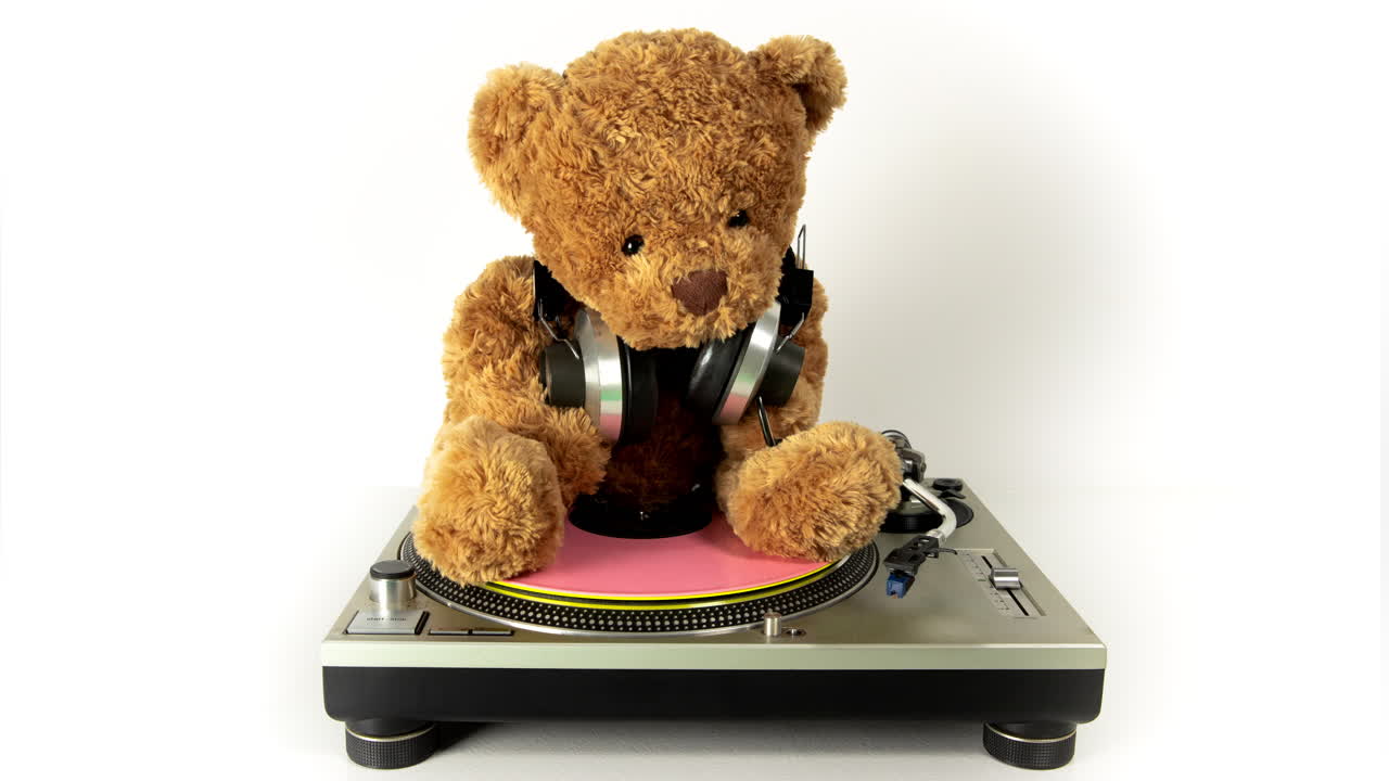 el dj del oso de peluche