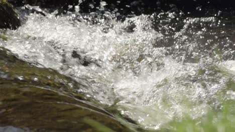 vertedero de agua blanca que brota