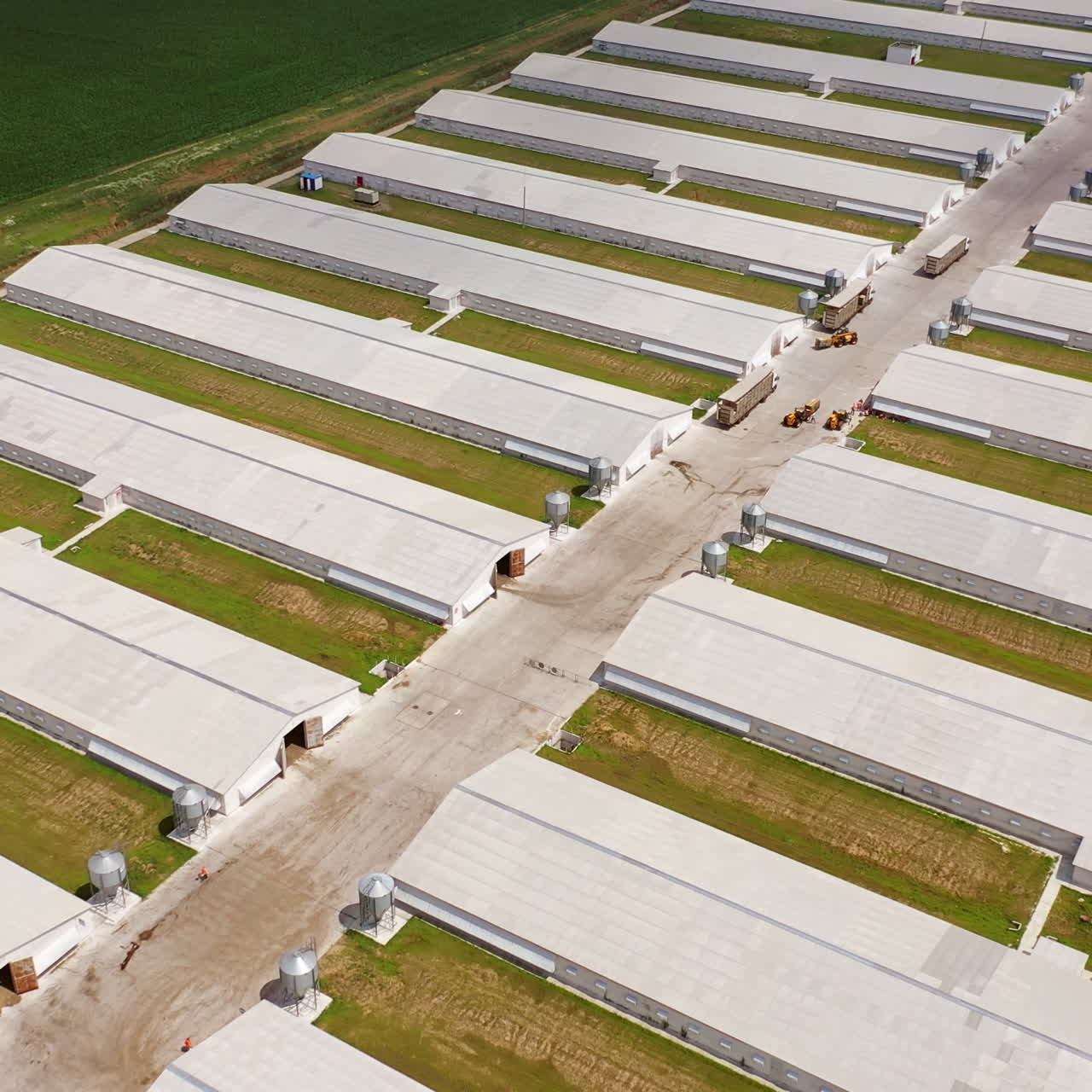 Flying over the modern farm area in a sunny day. New agricultural buildings for livestock outdoors. Aerial view.