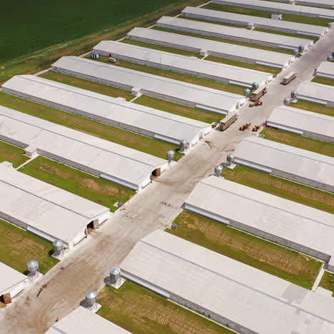 flying over the modern farm area in a sunny day. new agricultural buildings for livestock outdoors. aerial view.