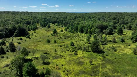 an aerial view of the beautiful green forests and meadows of northern pennsylvania in the appalachian foothills