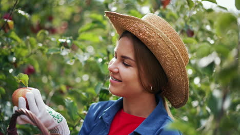 mujer recogiendo manzanas en el huerto