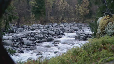 mountain river flowing through autumn forest