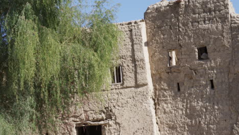 bahla fort ruins, unesco world heritage site, bahla, oman, medium shot tilt up