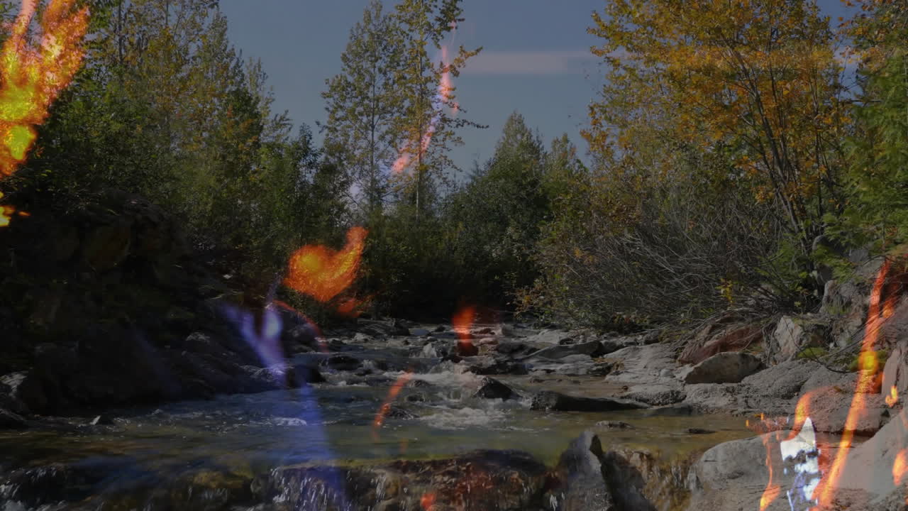 rocky creek flowing through autumn forest, showing business animated chart with lens-flare data