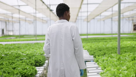 african scientist woman, greenhouse