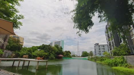 scenic lake at a cafe in the city of bangkok, thailand with green nature