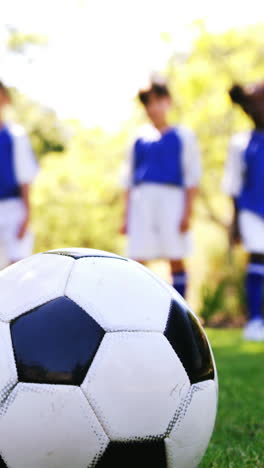 primer plano de fútbol en el parque