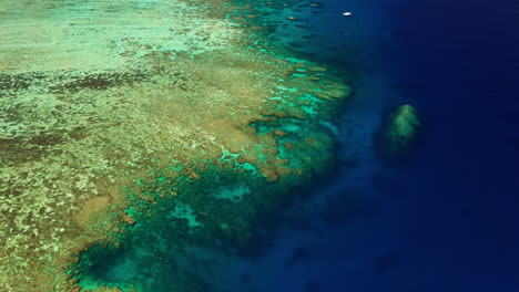 gran barrera de coral cerca de cairns en queensland, australia