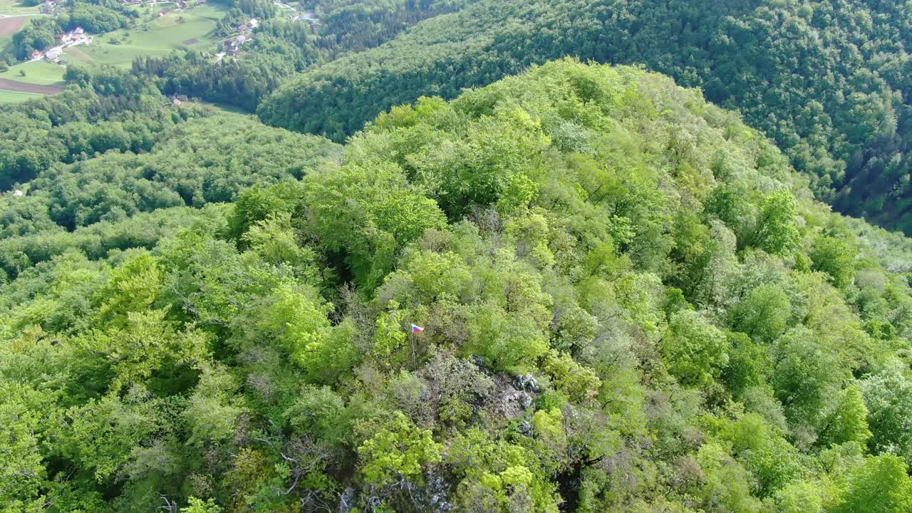 Single isolated slovenian flag flies over the treetops of a forest. Drone shot