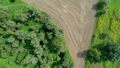 vista superior tierra agrícola en hungría