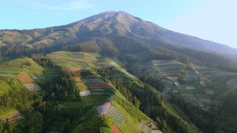 Beautiful-fields,-forest-and-mount-Sumbing-in-Indonesia,-aerial-drone-view