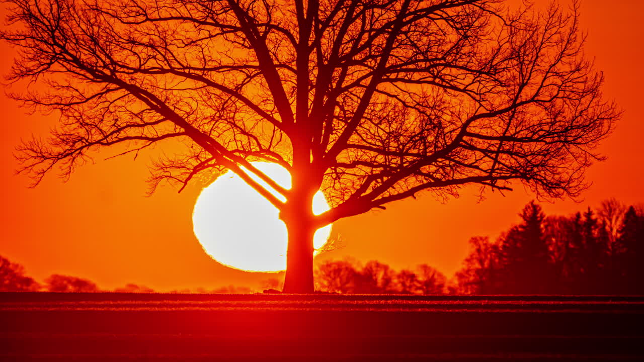 오렌지색의 은 어두움 중에 지평선에서 뜨는 태양의 클로즈업, 일출의 타임스 영상