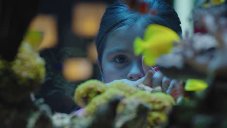 Niña-Feliz-En-El-Acuario-Mirando-Peces-Niño-Curioso-Observando-La-Colorida-Vida-Marina-Nadando-En-El-Tanque-Aprendiendo-Sobre-Animales-Marinos-En-El-Ecosistema-Submarino-Niño-Curioso-En-El-Oceanario