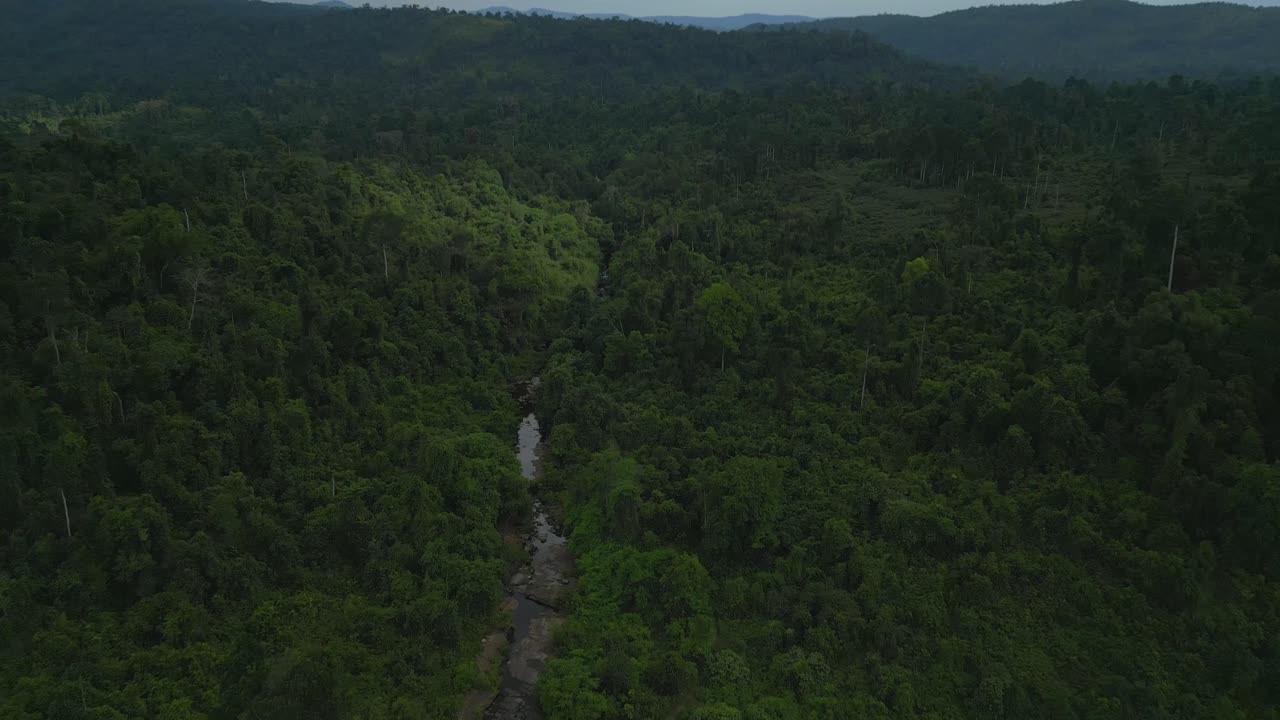 Aerial perspective of a dense jungle, with a narrow river weaving through untouched rainforest