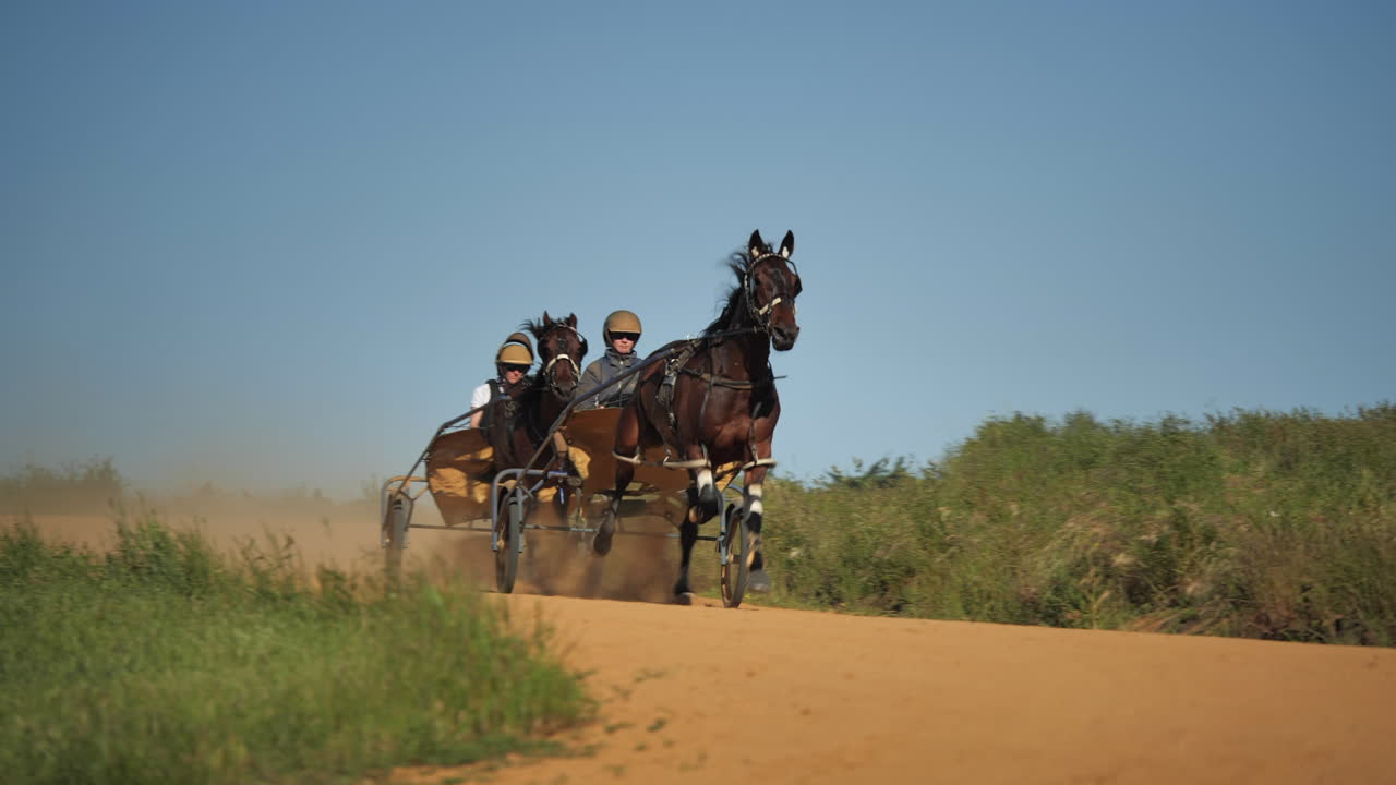 Slow mo of harness horses training