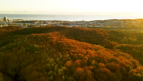 Gdynia,-Norte-De-Polonia---Hermoso-Amanecer-Sobre-Los-árboles-Del-Bosque-De-Otoño-Con-Paisaje-Urbano-En-La-Lejanía