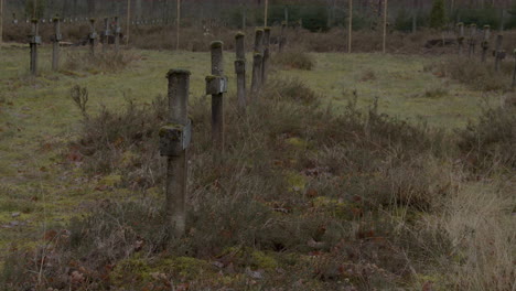 static of old graves overgrown with weeds