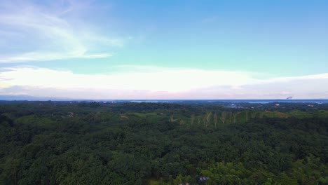 vista aérea de pájaro del bosque del parque nacional khadimnagar en bangladesh